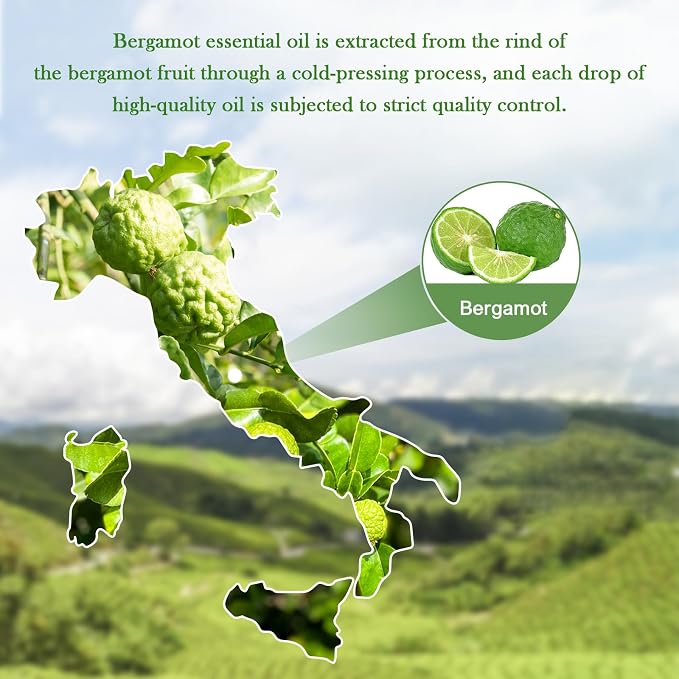 EVOKE OCCU Bergamot Essential Oil for Diffuser Skin Relaxation & DIY Wool Dryer Balls - 4 FL Oz