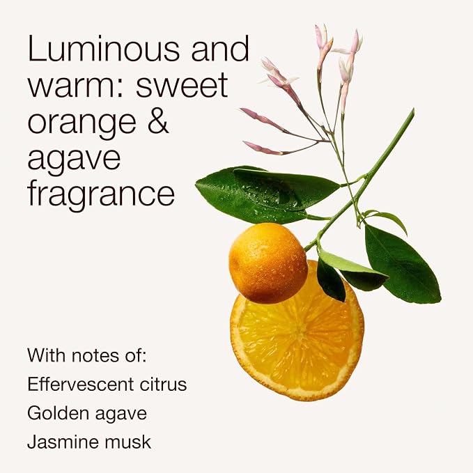 Bath & Body Works Single Wick Candle, Sweet Orange & Agave Candle, Long-Lasting Burn Up to 45 Hours, Exclusively Fragranced Soy Wax Blend, 8 oz - 2 Pack