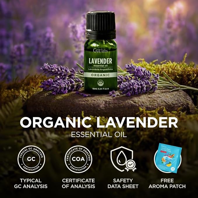 Gya Labs USDA Certified Organic Lavender Essential Oil for Relaxation & Rest - for Skin, Hair, Diffuser, Aromatherapy, DIY Candle Making Scents - 0.34 Fl Oz
