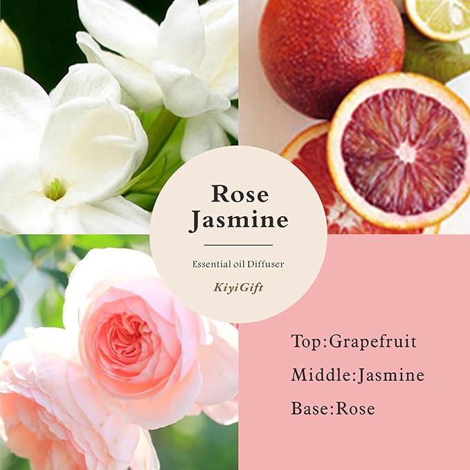 Reed Diffuser Set, Scent Diffuser with Sticks, Home Fragrance, Reed Diffuser for Bathroom, Shelf Decor, 4.06oz Jasmine Rose