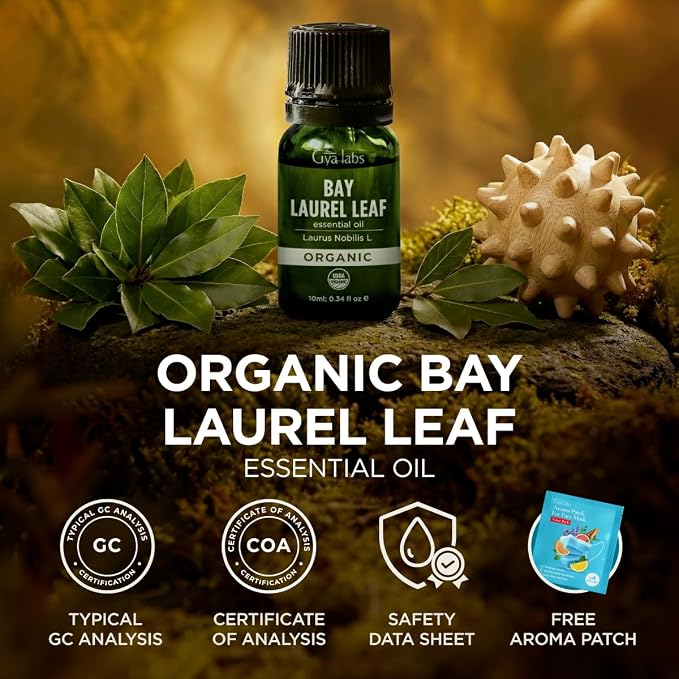 Gya Labs USDA Certified Organic Bay Leaf Essential Oil for Massages, Skin, Hair, Diffuser, Aromatherapy, DIY Candle Making Scents - 0.34 Fl Oz