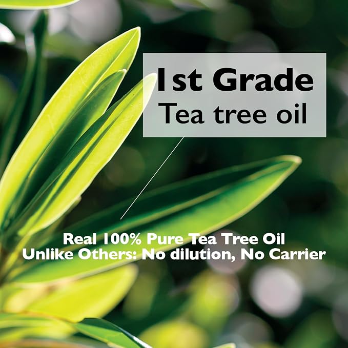 Lazy Society Teatree oil Roll-On 100% Spot Care for Acne Treatment - Gentle on Sensitive Skin, Targets Acne Pimples, Blemishes, and Zits. Face and Skin Spot Care Treatment for Acne, 0.18oz.