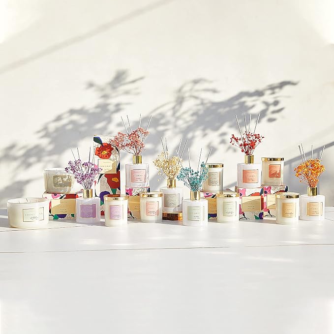 Cocorrína Premium Reed Diffuser Set with Preserved Baby's Breath & Cotton Stick Coconut Lime | 6.7oz Scent Fragrance Oil Diffuser for Bedroom Bathroom Home Décor