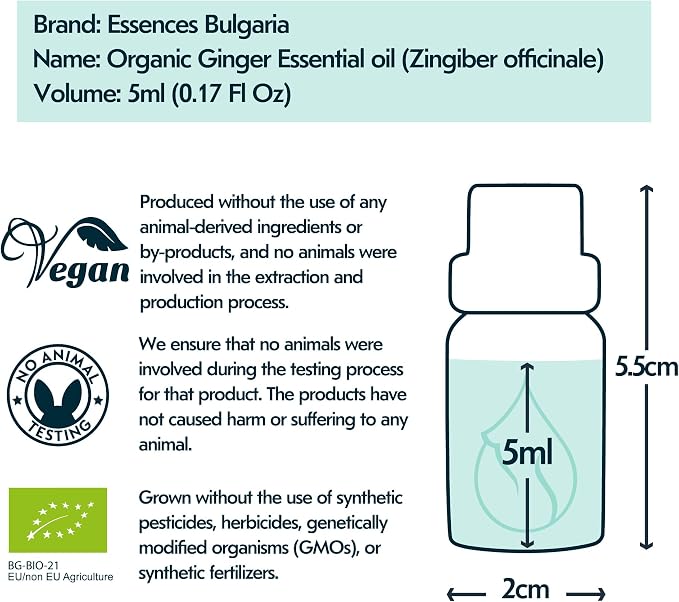 Essences Bulgaria Organic Ginger Essential Oil 0.17 Fl Oz 5ml Zingiber officinale - 100% Pure Natural Undiluted Therapeutic Grade Aromatherapy Oil for Diffuser Humidifier Lymphatic Drainage Massage