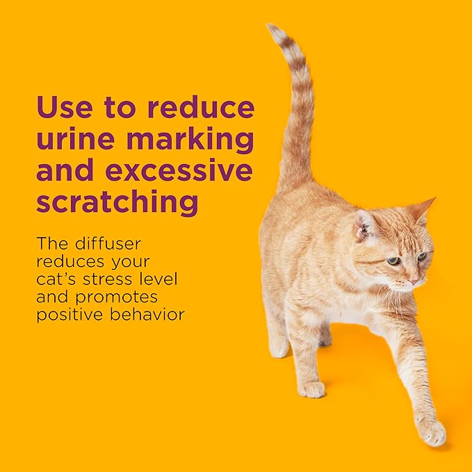 Comfort Zone Multi Cat Calming Diffuser Refill, 1 Pack - Cat Calming Pheromone Refills Help Reduce Anxiety, Stress, Scratching, Urine Marking, Multi-Cat Aggression, (30-Day Refill, 30-Day Supply)