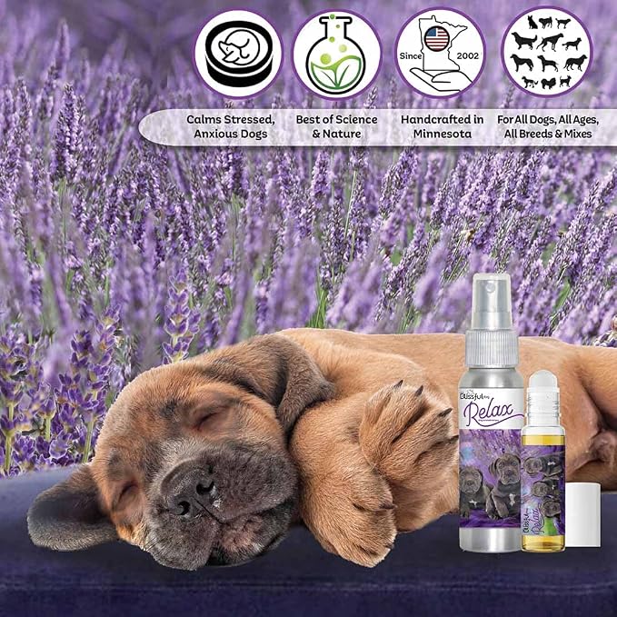 The Blissful Dog Cane Corso Relax Dog Aromatherapy Spray for Your Dog's Anxiety