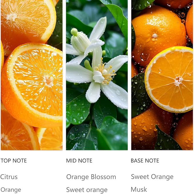 Waterless Essential Oil Orange for Diffuser 20ML Sampler Scented Oils, Aromatherapy Essential Oil Note of Citrus Uplifting Scent for Intstant Mood Boost and Clean Air