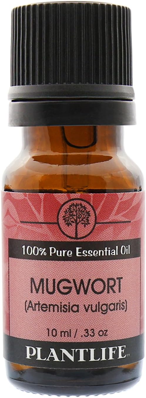 Plantlife Mugwort Aromatherapy Essential Oil - Straight from The Plant 100% Pure Therapeutic Grade - No Additives or Fillers - 10 ml