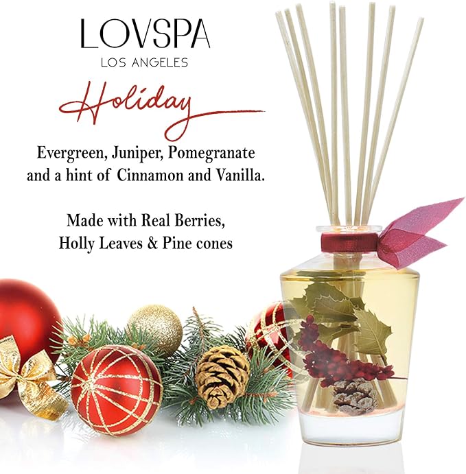 Reed Diffuser Set, Holiday Red Currant & Woods Scented Oil Diffuser with Sticks, Home Fragrance Accessories for Bathroom Shelf Decor, Aroma Diffusers for Home or Office Desk, USA Made