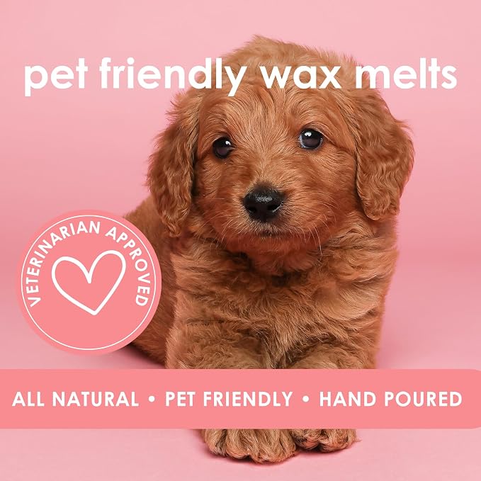 Pet Safe Wax Melts for Dogs | Non Toxic Soy Wax Melts | Natural, Paraffin-Free, Clean Burning | Odor Eliminating Wax Cubes | Palo Santo & Amber