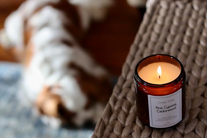 Organic Coconut Wax Aromatherapy Candle | Pine, Cypress & Cedarwood | Non-Toxic, Pet Safe, Allergy Friendly | Phthalate Free | Zero Waste Sustainable Gift