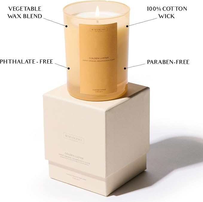 Orange, Cedarwood & Clove Scented Candle | 11oz, 60 Hour Burn | Natural Soy Wax, Cotton Wick | Soy Scented Candles for Home | Sun-Kissed Collection - Golden Luster
