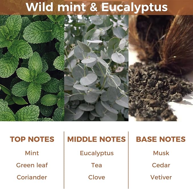 Reed Diffuser Set,Wild Mint & Eucalyptus Essential Oil Diffuser with 6 Reed Sticks,100ml(3.38fl.oz) Fragrance for Home,Office,Bedroom,Bathroom,Flame Free