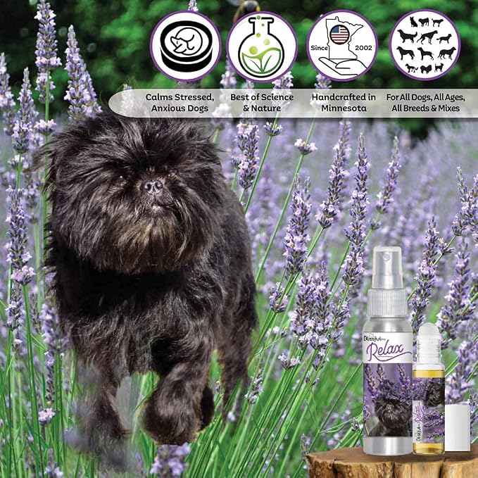 The Blissful Dog Relax Roll-On Aromatherapy Spray for Dogs - Anxiety Relief for Dogs