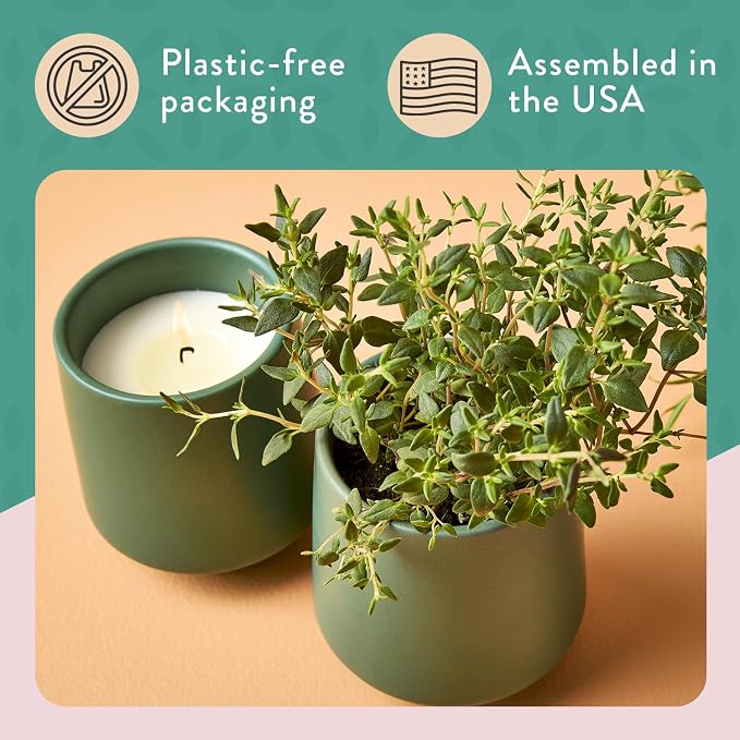 Modern Sprout Soy Candle Planter - Grows Thyme - Tonka Bean Scent - 2-Pack | 2 in 1 Soy Candle - 6 oz w/42-hr burn each - tonka bean scent - ceramic vessel reuses as a planter for non-GMO thyme seeds