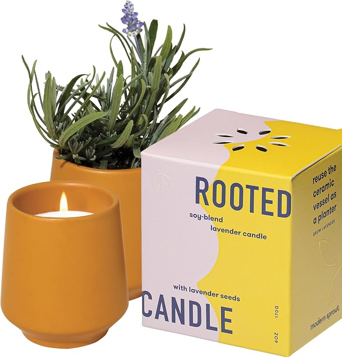 Modern Sprout - 2 in 1 Cedarwood Scented & Soy Candle with Seeds that Grows into Lavender Plant - 6 oz w/ 42 hr Burn time in Matte Glaze Ceramic Vessel Ideal for Indoor Herb Garden