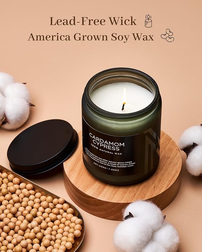 M&SENSE Cardamon & Cypress Scented Candle, 50 Hours Burn Clean Non Toxic Candle 7.05oz Natural Soy Wax Organic Candles Cozy Home Fragrance Meditation Candle Holiday Birthday Gift for Men Women