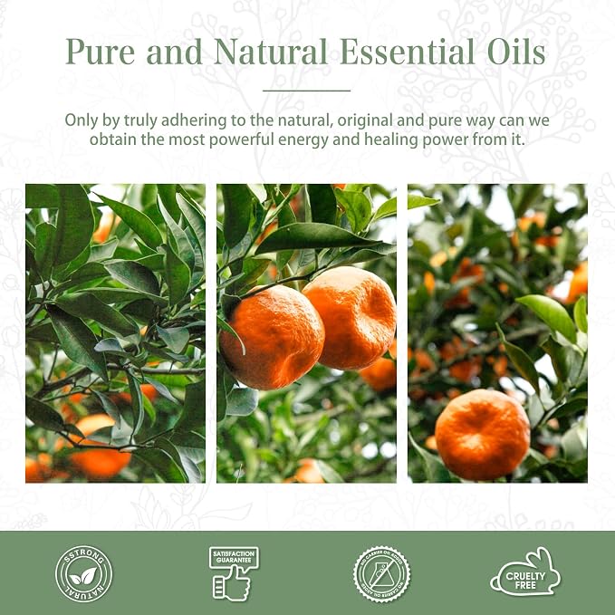 PHATOIL 3.38FL.OZ Tangerine Essential Oil, for Aromatherapy Diffusers, Humidifiers, Great for DIY Candle and Soap Making, Huge 100ML Bottle