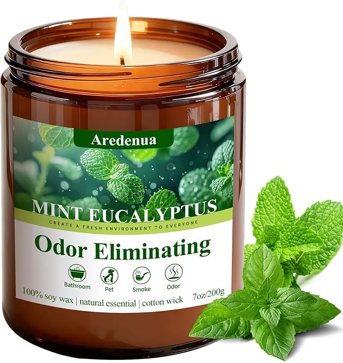 Mint Eucalyptus Odor Eliminating Candles | Eliminates 95% of Pet, Smoke, Food & Other Smells – Air Freshing Scented Candles - Gifts for Women Men, 50 Hour Burn time - 7 oz Natural Soy Wax
