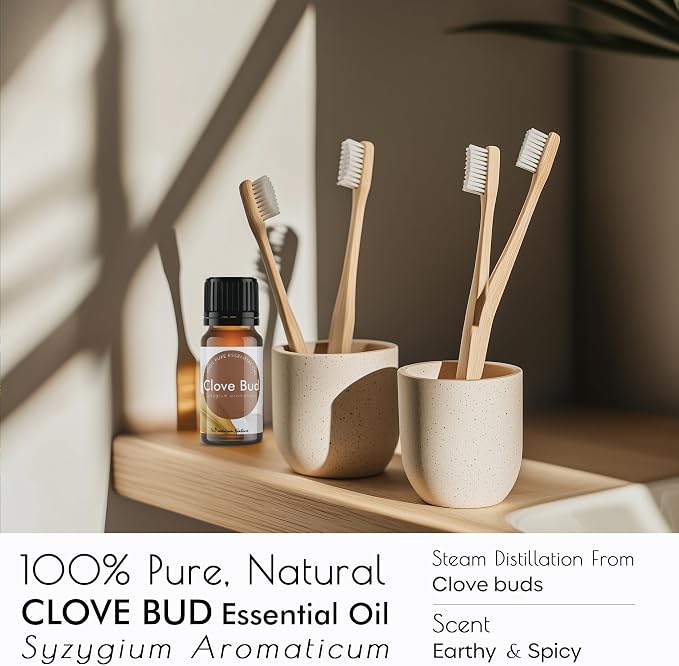 Clove Essential Oil for Teeth, Gums & Oral Care | Spicy, Earthy Scent | 100% Natural | for Hair, Skin & Candle Making, 0.34 fl oz