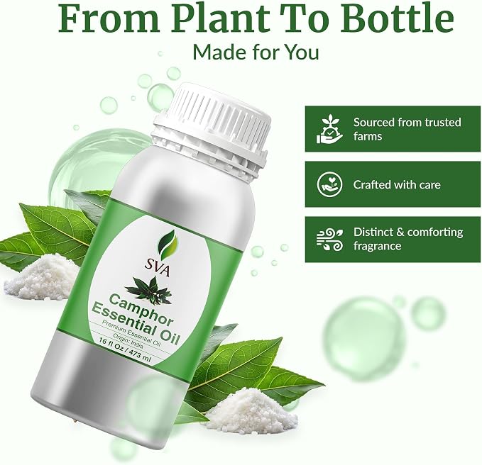 SVA Camphor Essential Oil – 16 Fl Oz – 100% Natural Camphor Oil - for Diffuser, Hair Care, Face, Skin Care, Aromatherapy, Scalp and Body Massage, Soap and Candle Making