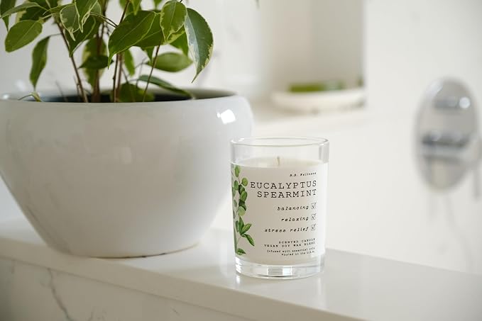 LEOBEN CO – Eucalyptus Spearmint Scented Candle – 9oz, B.B. Wellness Collection Design – 50 hr Burn Time – Poured in California Using Vegan Soy Wax and Essential Oils – Made in Small Batches