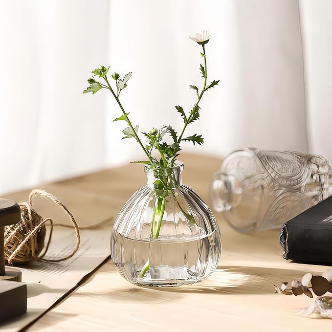 Clear Empty Glass Diffuser Bottle, Decorative Reed Diffuser Jar, Multipurpose Bud Vase, Decorative Floral Vase, DIY Replacement Bottle for Essential Oil Reed Diffuser, Home Fragrance & Craft Decor