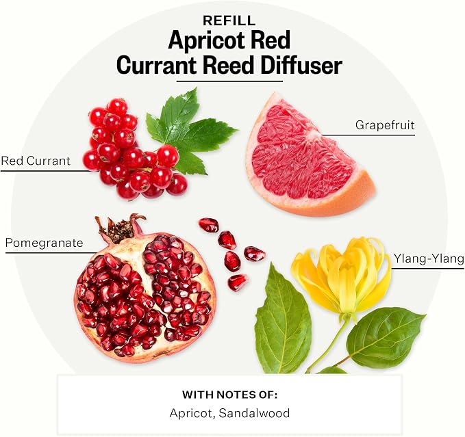 Apotheke Luxury Scented Oil Reed Diffuser Liquid Refill (Apricot Red Currant) - Premium Home Fragrance Diffuser Refill Set with Sticks