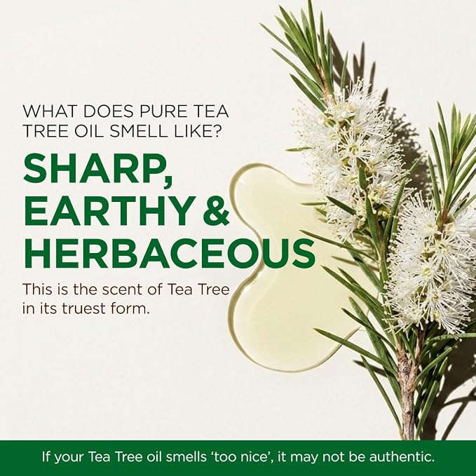 100% Pure Tea Tree Essential Oil - 4 Fl Oz - Tea Tree Oil for Hair, Skin, Diffuser, Aromatherapy & DIY Candle Making Scent
