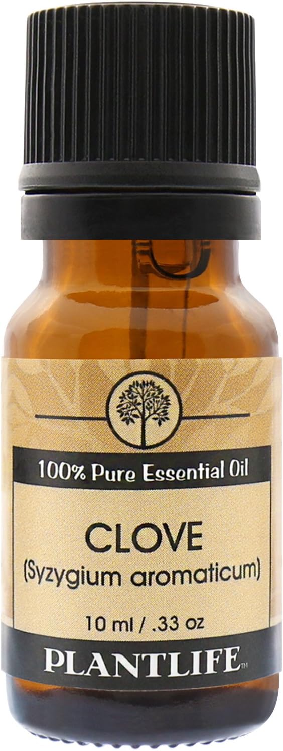 Plantlife Clove Aromatherapy Essential Oil - Straight from The Plant 100% Pure Therapeutic Grade - No Additives or Filters - 10 ml