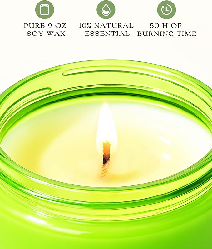 AOOVOO Green Apple Odor Eliminating Highly Fragranced Candle - Eliminates 95% of Pet, Smoke, Food, and Other Smells Quickly, Non Toxic Air Freshing Soy Candle, 9 oz Up to 50 Hours Burn time