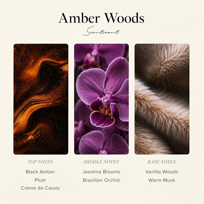 Scentiment Amber Woods Diffuser Oil - Premium Hotel Scent with Notes of Black Amber, Plum, & Crème de Cassis Home Scent, Aromatherapy Fragrance Oil Diffuser Refill - 1.69 fl oz (50 mL)