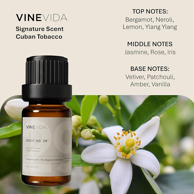 VINEVIDA [0.33oz] Scent No.29 Fragrance Oil for Candle Making - Made in USA Natural Candle Scents - Soap Making Fragrance Oil