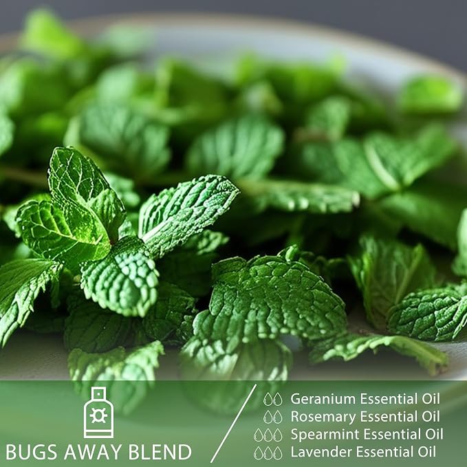 Spearmint 1.01fl.oz Essential Oil, PHATOIL Pure Aromatherapy Oils for Diffuser, Humidifier, Perfect for DIY Soap, Candle, Bath Bombs Making(30ml)