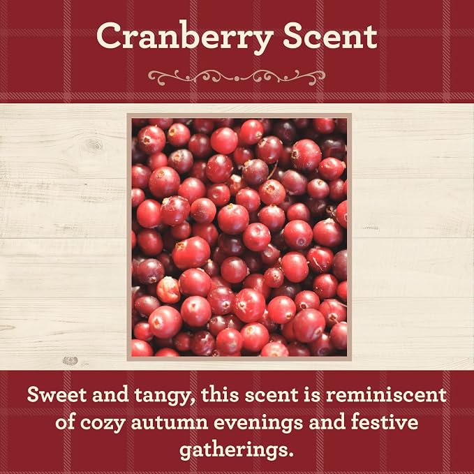 Our Own Candle Company, Cranberry Scented Mason Jar Candle, 100 Hour Burn Time, 13 Ounces