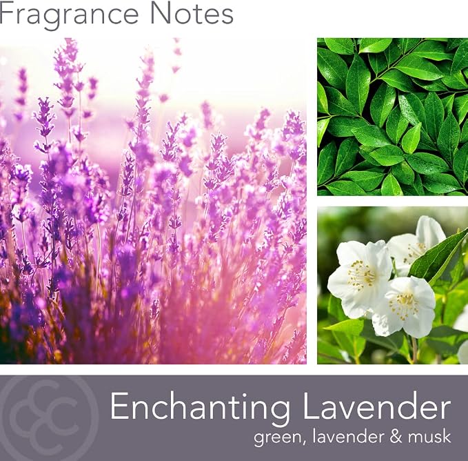 Carolina Enchanting Lavender Scented Candle, 16 oz Wellness Relaxing Aromatherapy Candle, 2 Wick White Jar Soy Blend Wax, Candles for Home, 60H Burn - Made in The USA