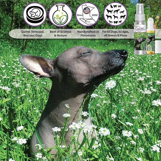 The Blissful Dog Xoloitzcuintli Relax Roll-ON Aromatherapy for Dogs - Anxiety Relief for Dogs