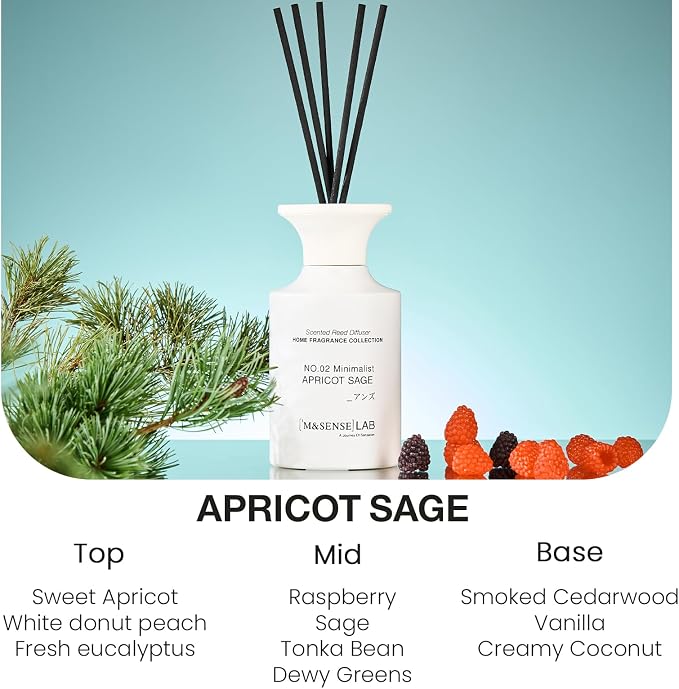 M&SENSE Minimalist Large Reed Diffuser 300ml, Apricot Sage Scented with Natural Essential Oils, Long Lasting with 7 Sticks, Non-Toxic Home Fragrance for Bedroom, Bathroom Decor