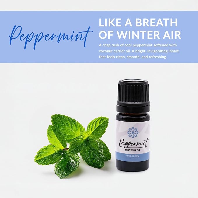 Essence Refresh Kit | Solid Scents Essential Oils | Aromatherapy Nasal Diffuser | Personal Scent Clip for Travel, Work & Everyday Use | Made in USA | Peppermint | White Pod