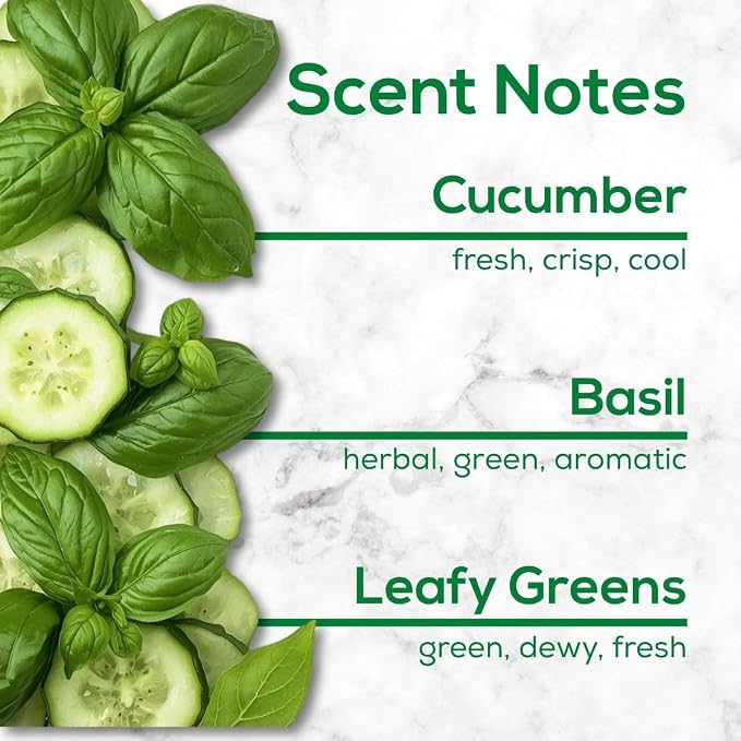 Scent Fill 100% Natural Cucumber Basil Plug in Air Freshener, Scented Oil Refills, 3 Refills