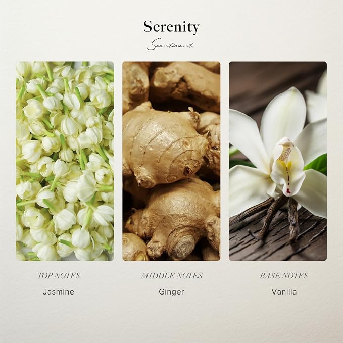 Scentiment Diffuser Oil – Serenity | Jasmine, Ginger & Vanilla | Soft, Warm & Relaxing Fragrance Oil for Cold Air Diffusers – 0.68 fl oz (20 mL)