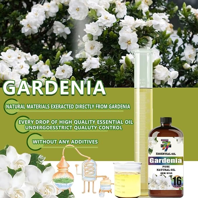 Gardenia Essential Oil, Gardenia Oils, for Diffuser, Humidifier, DIY Candles, Soap, Home, Office, Yoga, Massage, Gift, Essential Oil, GV77ZF Gardenia Fragrance Oil - 16 fl oz (480 ml)
