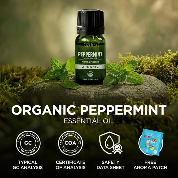 Gya Labs USDA Certified Organic Peppermint Essential Oil for Diffuser - for Topical Use, Hair, Body, Massages, Aromatherapy, DIY Candle Making Scents - 0.34 Fl Oz
