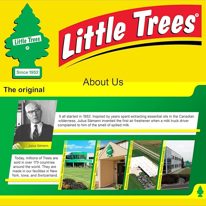 LITTLE TREES Car Air Freshener | Hanging Paper Tree for Home or Car | Strawberry | 6 Pack