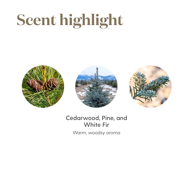 Young Living Grounding Essential Oil Blend - for Stability, Clarity, and Spirituality - 5 ml