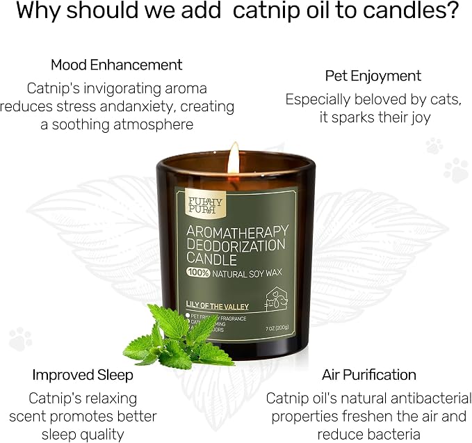 Odor Eliminating Candle, Vanilla Popcorn Scented Candle, Pet-Friendly Soy Candles, 60 Hours, 7 oz