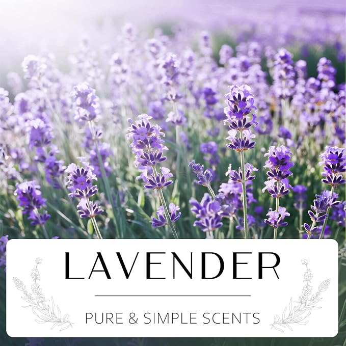 NORVENCE Lavender Candle, Scented Candles Gift Set, Stress Relief Candles for Home, Premium Soy Candle Set, Candles for Women and Men (Purple, 7 oz)