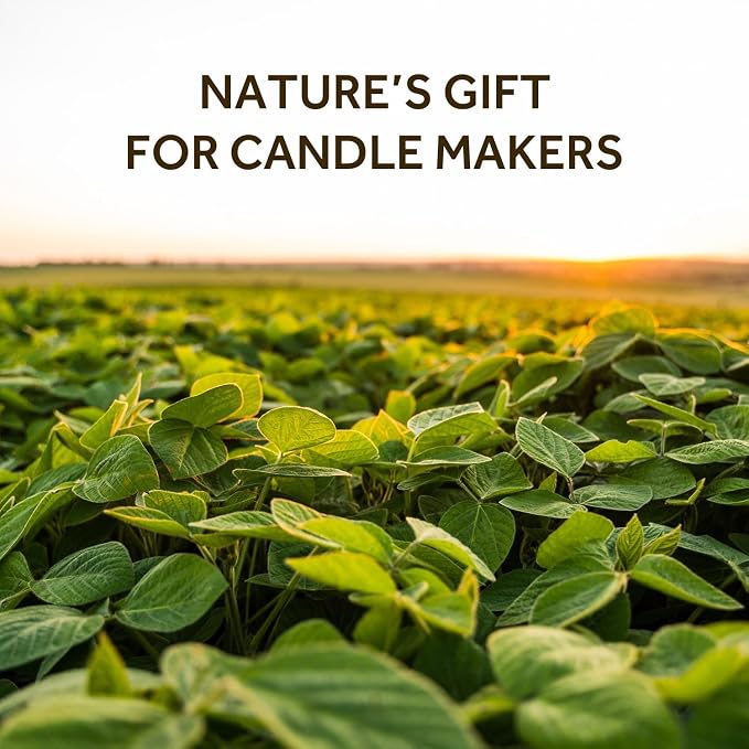 NORVENCE Soy Wax for Candle Making, Natural Soy Wax Flakes 10lb, Premium Candle Wax for DIY Candle Crafting