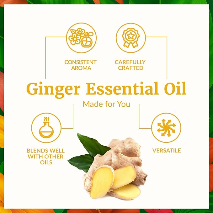 SVA Ginger Essential Oil 1 Fl Oz – for Diffuser, Skin & Hair Care – Ideal for Massage & DIY Blends - with Dropper