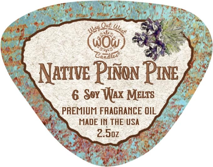 Scented Wax Melts - Highly Fragrant Air Freshener - 4 Pack Set of 6 Melt Cubes (4, Native Piñon Pine)